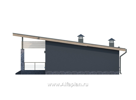 Проекты домов Альфаплан - «Корица» - одноэтажный дом с односкатной крышей, с двумя спальнями - превью фасада №3